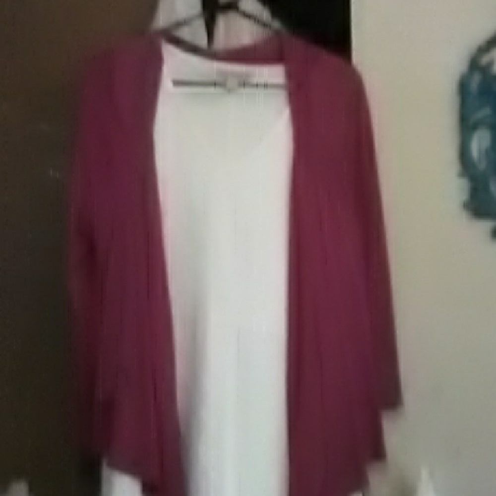 Lace Dress and sweater